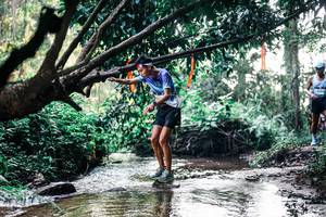 BIB: 
                            <button type="button" onclick="openModal(25399194)" class="btn btn-primary btn-sm float-right btn-popup" data-toggle="modal" data-target=".modal-high-quality">
                        <i class="fas fa-shopping-cart"></i> Add to Cart
                    </button>
                                            <button type="button" onclick="isThisMe(25399194, true)" class="btn btn-success btn-sm float-right btn-popup btn-isme hidden" data-toggle="tooltip" data-placement="bottom" title="นี่คือรูปของคุณใช่ไหม คลิกที่นี่เพื่อเอาเข้าอัลบั้ม">
                        <i class="fas fa-plus"></i> Add to album
                    </button>
                    <button type="button" onclick="isThisMe(25399194, false)" class="btn btn-warning btn-sm float-right btn-popup btn-isnotme hidden">
                        <i class="fas fa-ban"></i> Remove from album
                    </button>